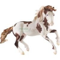 Preview Isadora-Cruce - Spanish Mustang