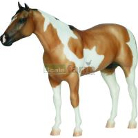 Preview Banjo - American Paint Horse