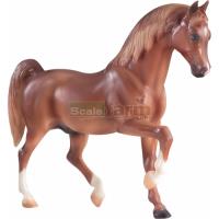 Preview My Favorite Horse Arabian