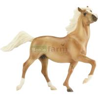 Preview Palomino - My Favourite Horse