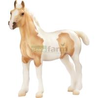 Preview Creamsicle - Clydesdale Foal
