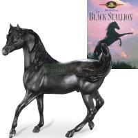 Preview Black Stallion with The Black Stallion DVD