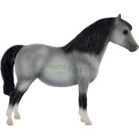 Preview Shetland Pony - Spirit of the Horse