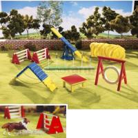 Preview Dog Agility Play Set