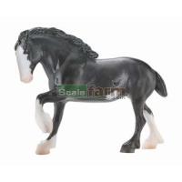 Preview Spotted Drafter Horse