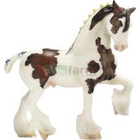 Preview American Spotted Draft Horse