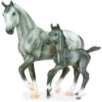 Preview Grey Warmblood Horse & Foal