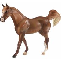 Preview S Justadream - Champion Arabian - Spirit Of The Horse