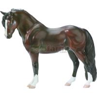 Preview Cefnoakpark Bouncer - Welsh Pony