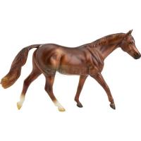 Preview Coppery Chestnut Thoroughbred
