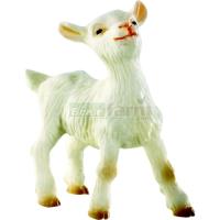 Preview Goat - Kid