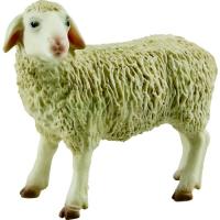 Preview Sheep