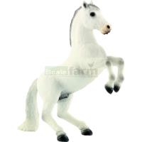 Preview Lipizzaner Horse