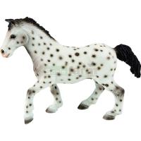 Preview Knabstrupper Mare