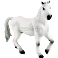 Preview Oldenburger Saddle Horse