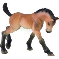 Preview Trakehner Foal