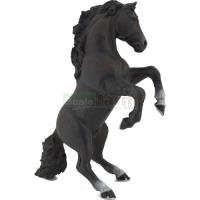 Preview Black Horse, Rearing