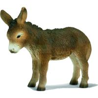 Preview Donkey Foal