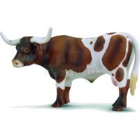 Preview Texas Longhorn Bull