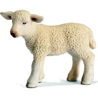 Preview Lamb, standing