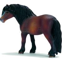Preview Dartmoor Pony Mare