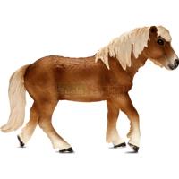 Preview Icelandic Pony Mare