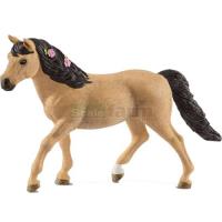 Preview Connemara Pony Mare