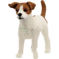Preview Jack Russell Terrier