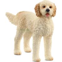 Preview Goldendoodle