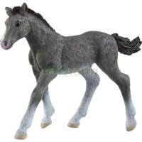 Preview Trakehner Foal