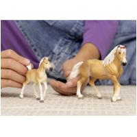 Preview Haflinger Mare - Image 1