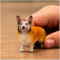 Preview Welsh Corgi - Image 1