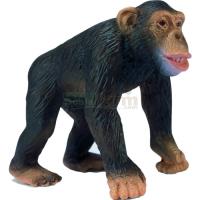Preview Chimpanzee, Male