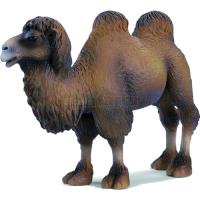 Preview Camel