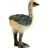Preview Ostrich Chick