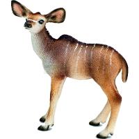Preview Kudu Calf