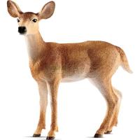 Preview White-tailed Doe