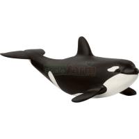 Preview Baby Orca