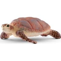 Preview Hawksbill Sea Turtle