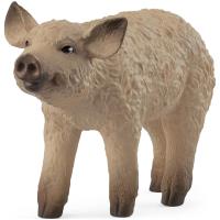 Preview Mangalica Piglet