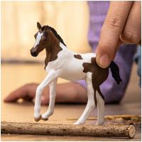 Preview Paint Horse Foal - Image 1