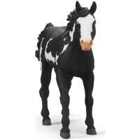 Preview Paint Horse Gelding - Image 1