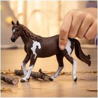 Preview Paint Horse Mare - Image 1