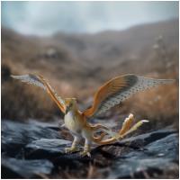 Preview Thunderbird - Image 3