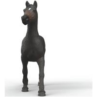 Preview English Thoroughbred Mare - Image 1