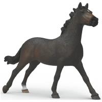 Preview English Thoroughbred Mare