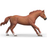 Preview English Thoroughbred Stallion - Image 1