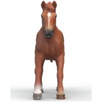 Preview English Thoroughbred Stallion - Image 2