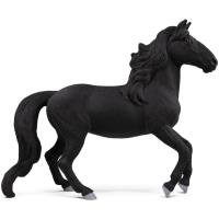 Preview Lusitano Stallion - Image 1