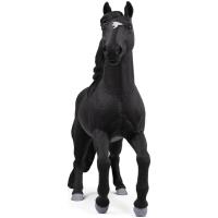 Preview Lusitano Stallion - Image 2